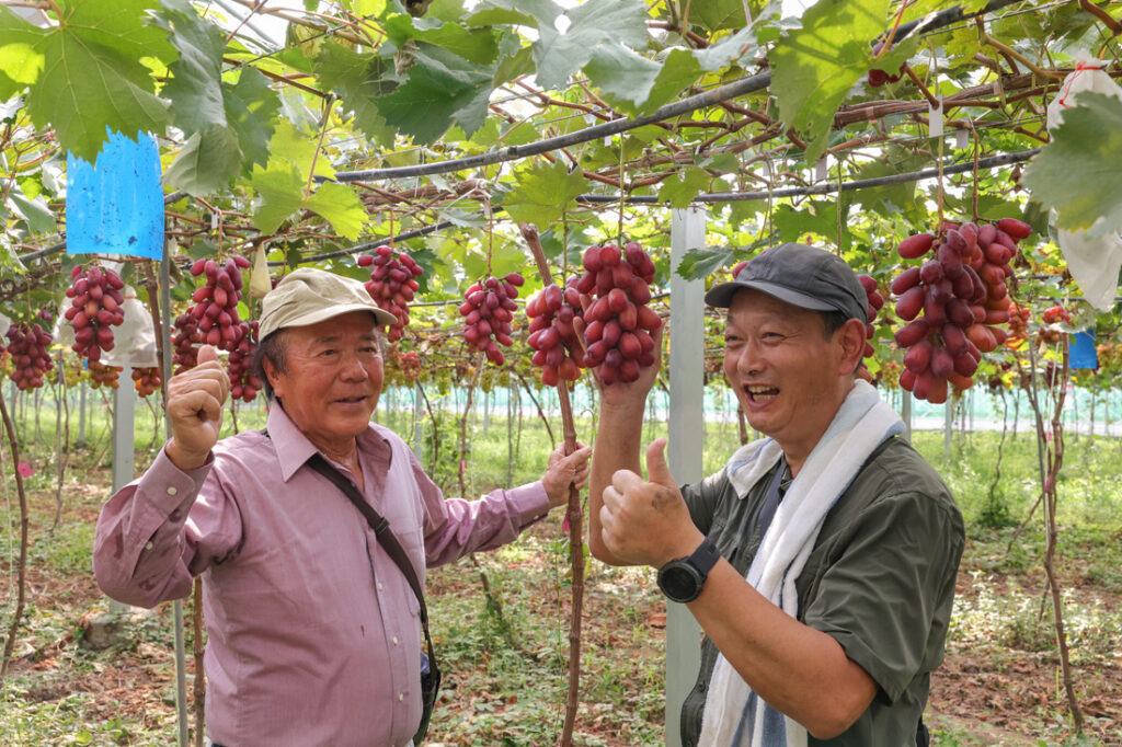 Japanese Grape Breeding Expert Shigenori Shimura Visits Shenyuan’s R&D Base