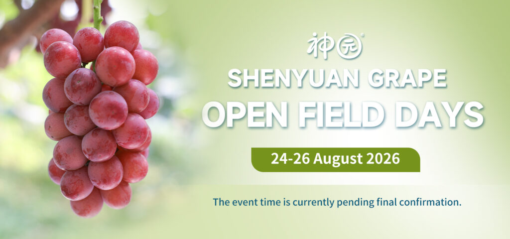 SHENYUAN GRAPE to Host 2026 Open Field Day – Save the Date